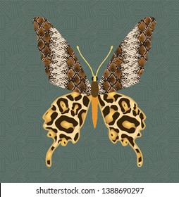 skin animals predators wild beasts tiger leopard elephant
