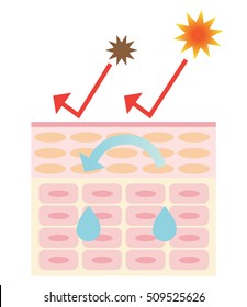 Skin Barrier Protects Skin Bacteria Ultraviolet Stock Vector (Royalty ...