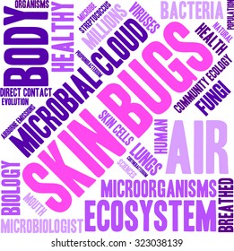 Skin Bugs Word Cloud On a White Background. 