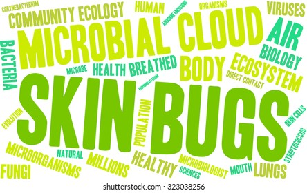 Skin Bugs Word Cloud On a White Background. 