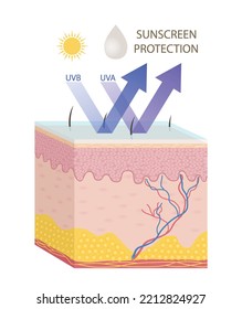 Skin care in summer concept. Infographics with skin protected from ultraviolet radiation. Dermis with layer of sunscreen reflecting sun rays. Website design. Cartoon flat vector illustration