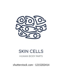 Skin Cells icon. Skin Cells linear symbol design from Human Body Parts collection.