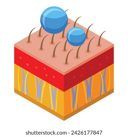 Skin collagen care icon isometric vector. Beauty cream. Cosmetic drop