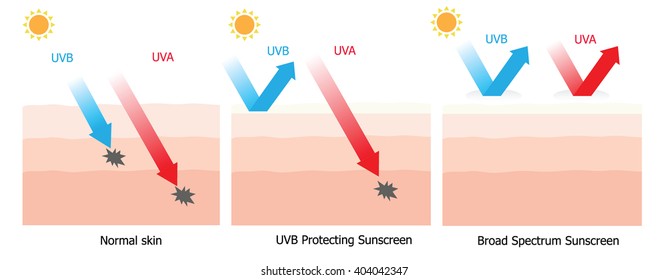 Skin compare between skin with broad-spectrum sunscreen and normal sunscreen