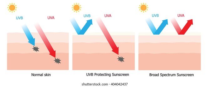 Skin compare between skin with broad-spectrum sunscreen protect both UVA and UVB  and and normal sun screen which cannot protect UVA