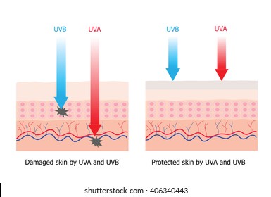 Skin compare between skin with spectrum-boarding sunscreen lotion 