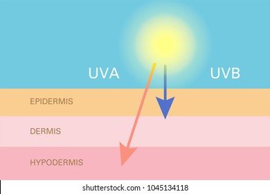 Skin compare , Protect both UVA and UVB