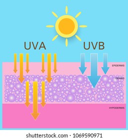 Skin compare , Protect both UVA and UVB
