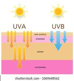 8,019 Skin uv rays Images, Stock Photos & Vectors | Shutterstock