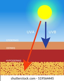 Skin compare , Protect both UVA and UVB