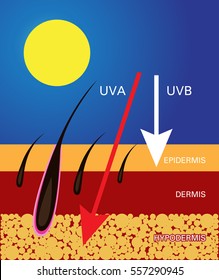 Skin compare , Protect both UVA and UVB