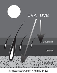 Skin compare , Protect both UVA and UVB 