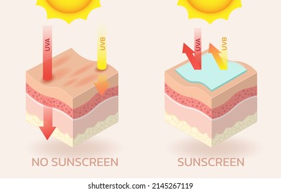 skin concerning the use of sunscreen.vector for sunscreen advertising.summer protection cream