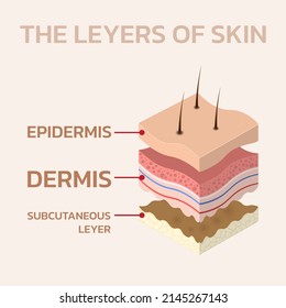 skin concerning the use of sunscreen.vector for sunscreen advertising.summer protection cream