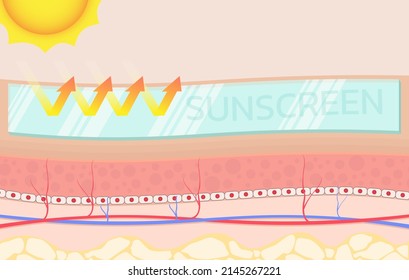 skin concerning the use of sunscreen.vector for sunscreen advertising.summer protection cream