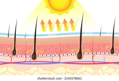 5,243 Use skin protection Images, Stock Photos & Vectors | Shutterstock