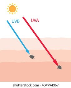 Skin Damaged By Uva Uvb Ray Stock Vector (Royalty Free) 404994367 ...