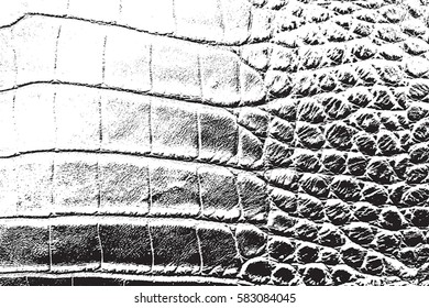 Skin dirty grunge background. Distress leather Overlay, Retro used Texture. black paint ground. Urban aged serpent backdrop. Rough wild filled, cover for aging your design. EPS10 vector