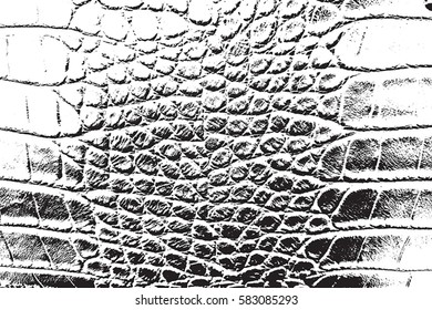 Skin dirty grunge background. Distress leather Overlay, Retro used Texture. black paint ground. Urban aged serpent backdrop. Rough wild filled, cover for aging your design. EPS10 vector