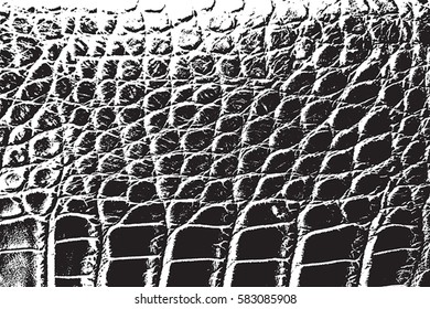 Skin dirty grunge background. Distress leather Overlay, Retro used Texture. black paint ground. Urban aged serpent backdrop. Rough wild filled, cover for aging your design. EPS10 vector