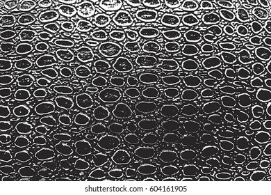 Skin dirty grunge background. Distress leather Overlay, Retro used Texture. black paint ground. Urban aged snake hide backdrop. Rough wild filled, cover for aging your design. EPS10 vector