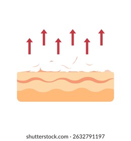 Skin exfoliation process illustration — dead skin cells being removed from the skin surface with upward arrows indicating exfoliation.