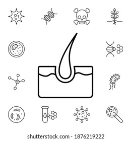Skin flat vector icon in biology pack
