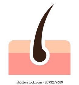 skin hair flat clipart vector illustration