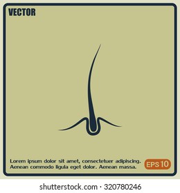 skin hair layer illustration vector