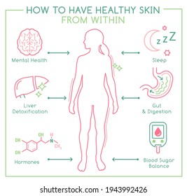Skin health horizontal poster. Useful medical infographic. Healthcare concept. How to have healthy skin from within. Editable vector illustration isolated on a white background. 