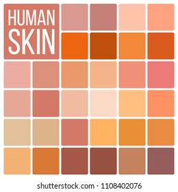 Skin Human Vector. Various Body Tones Chart. Realistic Texture Palette. Illustration