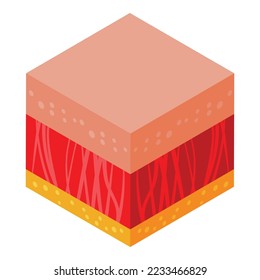 Skin icon isometric vector. Cell molecule. Age protein