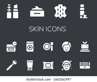 conjunto de iconos de la piel. 14 iconos cutáneos rellenos.  Iconos modernos sencillos, como: maquillaje, máscara de cabello, piel, espuma, maquillaje, anti edad, gel, reproductor de medios, maquillador, ultravioleta, mousse