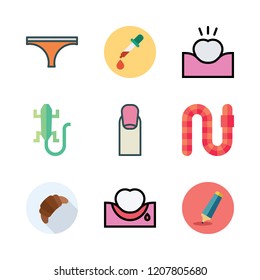 skin icon set. vector set about highlighter, panties, tooth and lizard icons set.