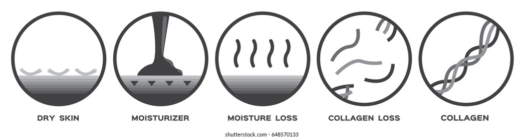 skin icon and vector - collagen dry moisturizer moisture