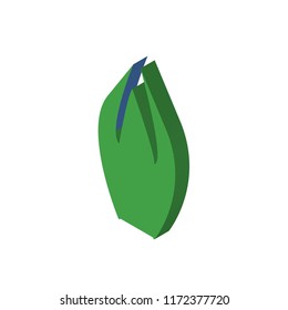 Skin isometric left top view 3D icon