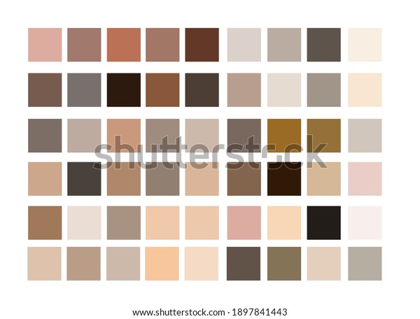 Skin Nude Human Colors Palette Swatches Stock Vector Royalty Free