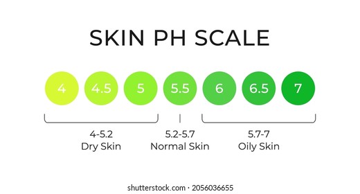 Skin pH value scale chart for normal, dry and oily. Indoication of lipid barrier acid mantle. Acid-base balance from 4 to 7 infographic isolated on white background. Vector illustration.