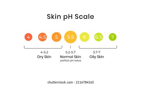 Gráfica de la escala del pH de la piel para valores normales, secos y aceitosos. Indicación del manto ácido de barrera lipídica. Equilibrio ácido-base de 4 a 7 infografía aislada en fondo blanco. Ilustración vectorial.