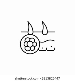 skin and pollen icon sign vector