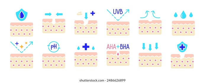 Skin set icon. Hydration shield, exfoliation, UVB protection, soothing, moisturizing, pH balance, AHA BHA treatment, anti-aging, deep absorption, skin protection. Skin care, beauty.