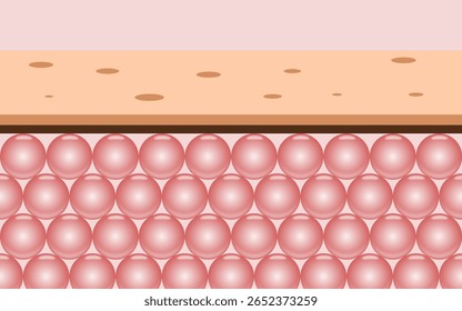 Estructura de la piel que resalta las células epidérmicas rosadas