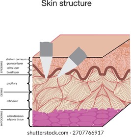Esquema da estrutura da pele. Técnicas de maquiagem permanente. Formação em PMU. Camadas de pele. Epiderme, derme e hipodérmica. Anatomia da pele.