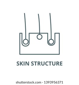 Skin structure vector line icon, linear concept, outline sign, symbol