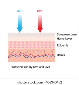 Skin with Sunblock from sunscreen lotion which protect human skin from UVA and UVB