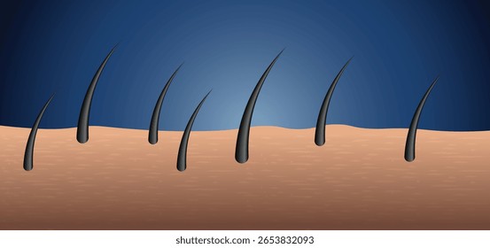 skin surface with hair follicle vector illustration