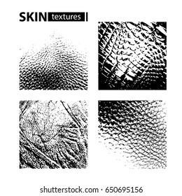 Skin textures set isolated on white background. Vector collection.