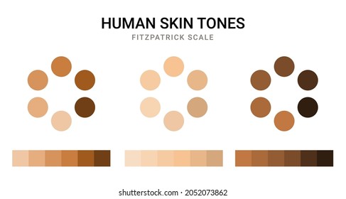 Skin tone color scale chart. Brown palette vector human skin infographic banner icon