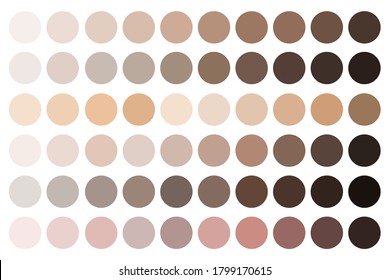 Skin tones. Beige palette. Fundamentals of complexion shades. Samples of makeup shades. Vector illustration.