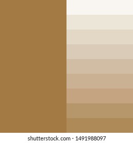 Skin tones color palette vector illustration